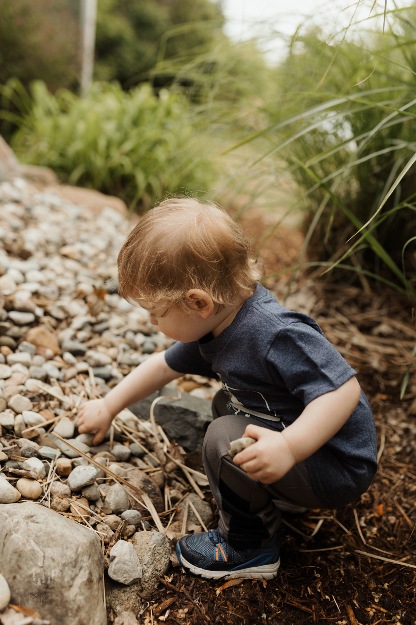 Northern michigan photographer documenting two year old birthday at the river