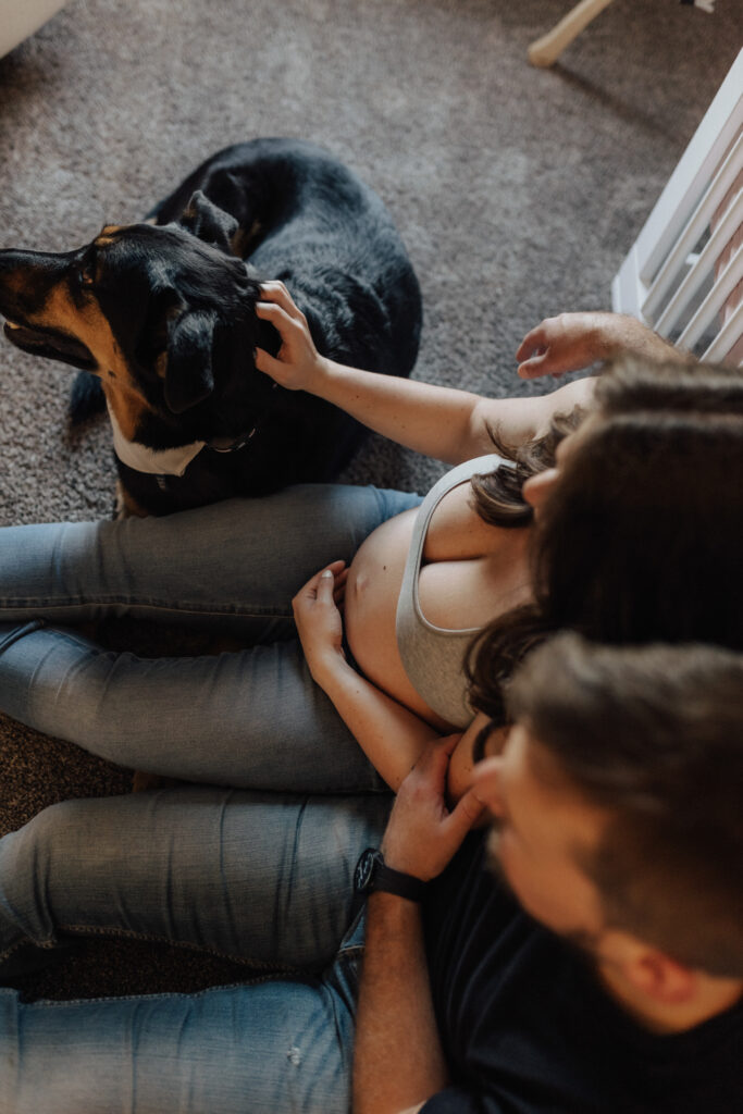 In-Home Maternity Session in Petoskey MI, inside baby nursery with dogs